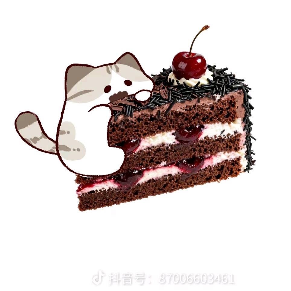 爱吃蛋糕的小猫