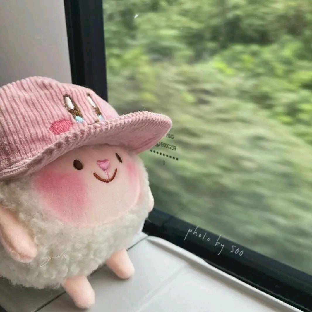 笨蛋小妹儿