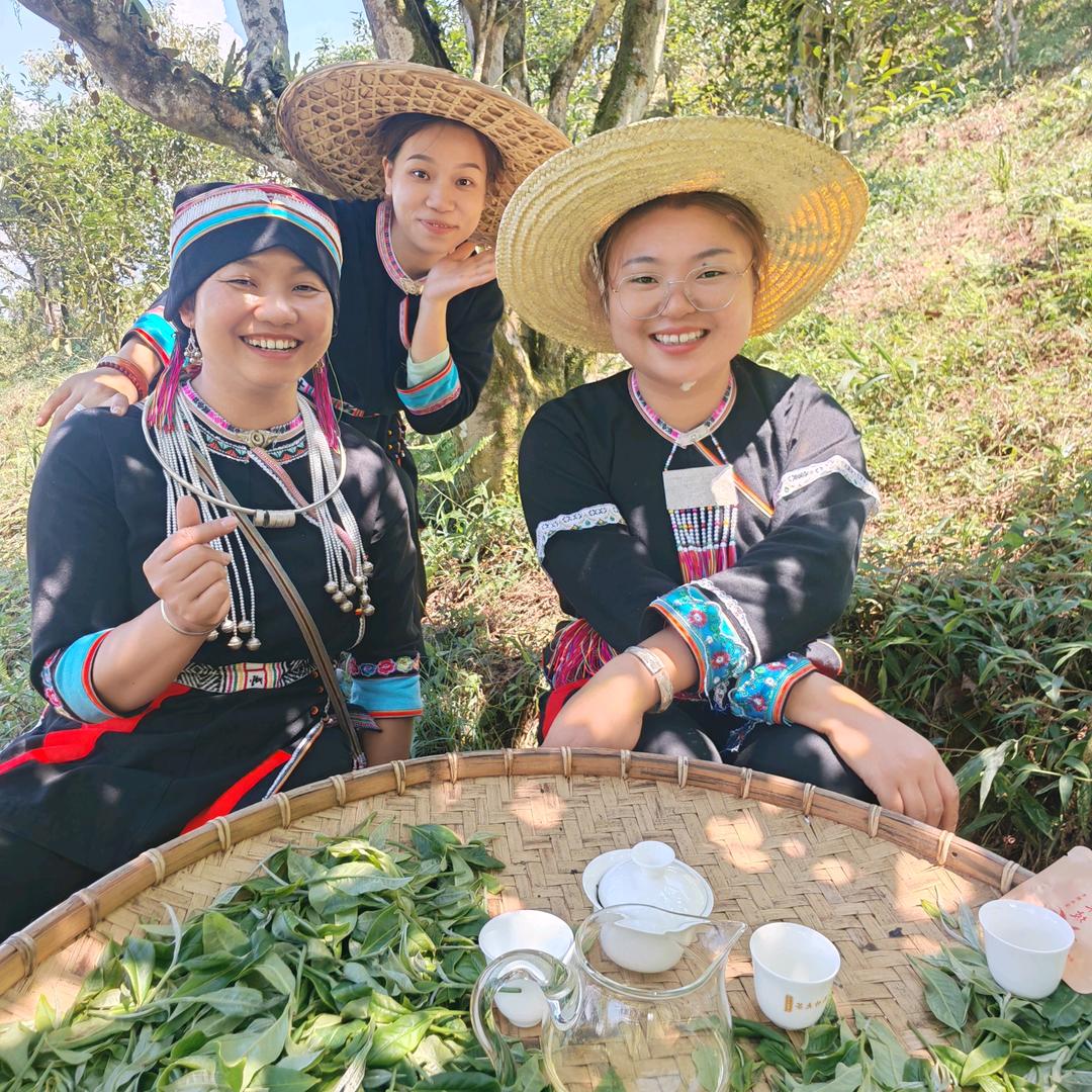 瑶族姐妹的茶