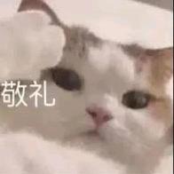 小七仔