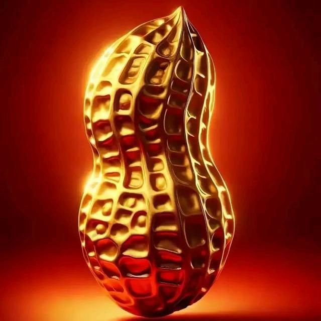 金色年华³⁷⁷✨✨