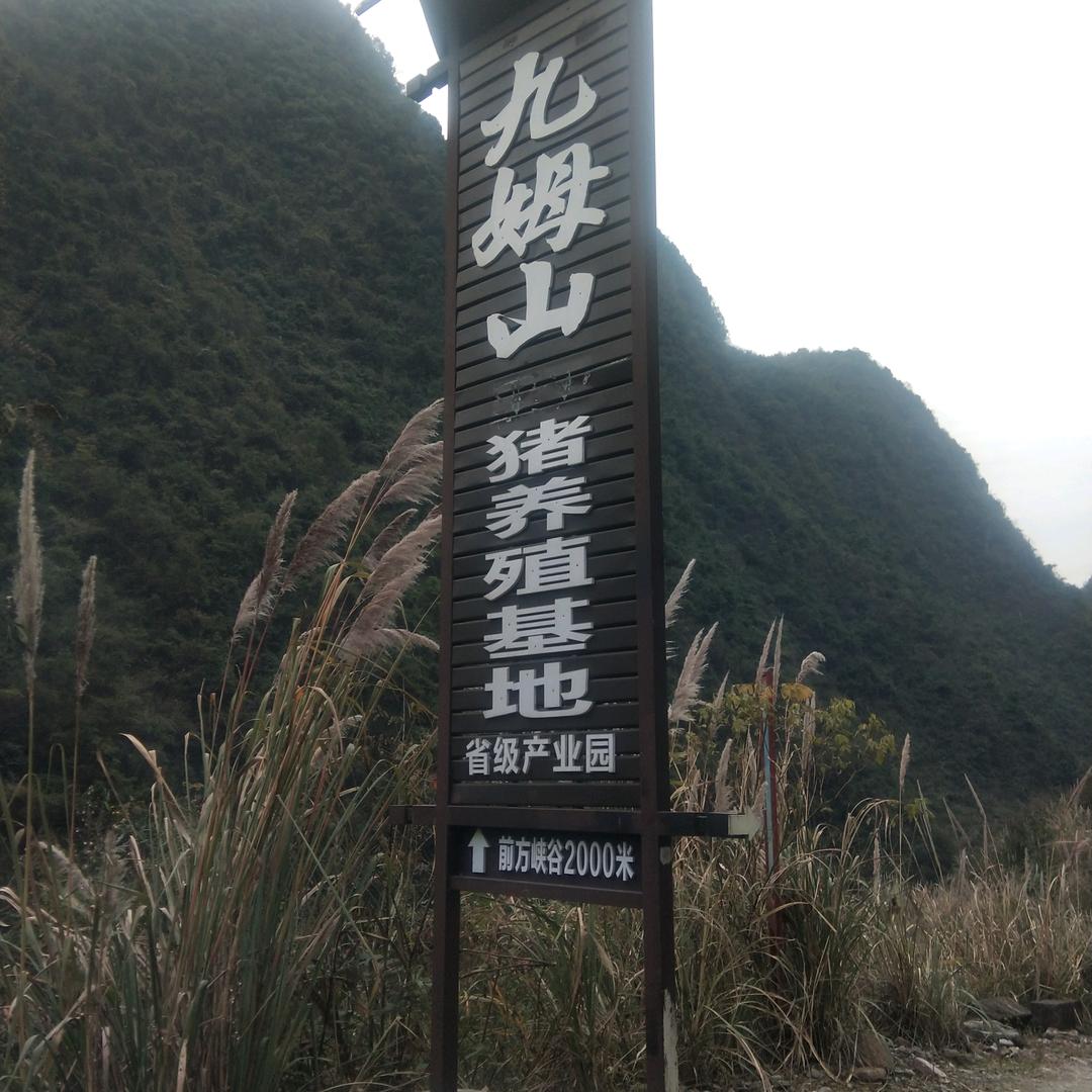 新关玉叶