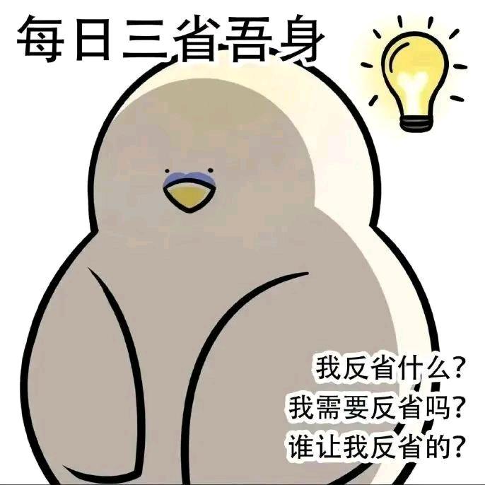 皮可皮