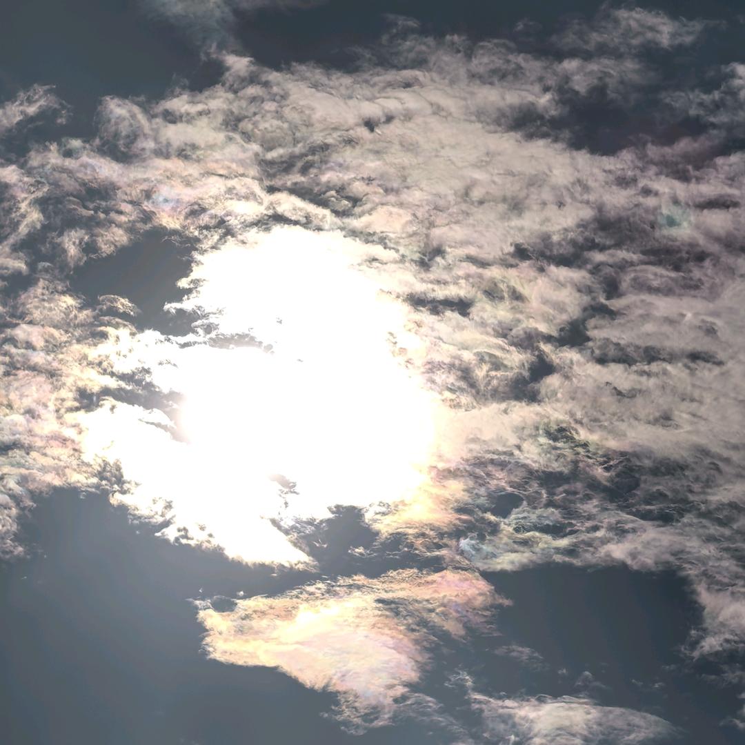 陌清