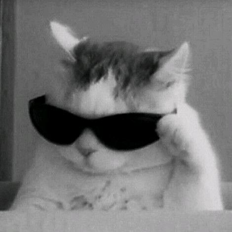 殷天枭不是猫头鹰