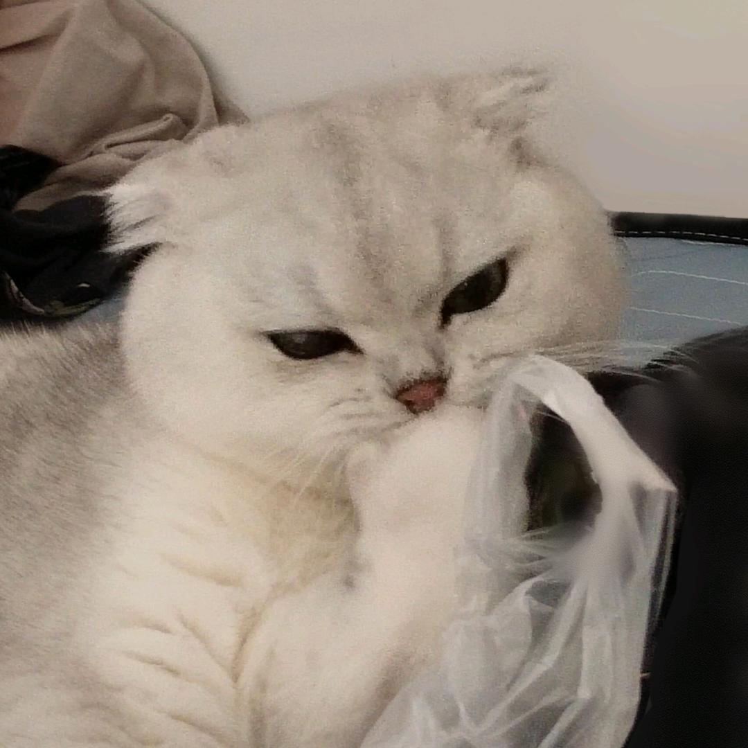 十一.