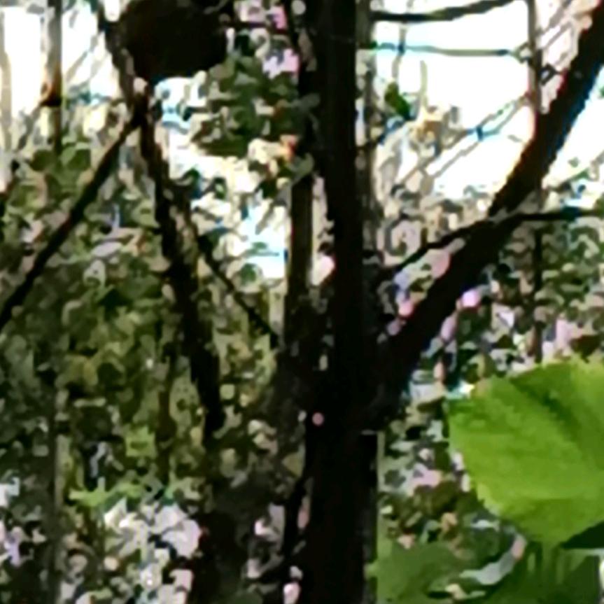 专业工地上拼搏