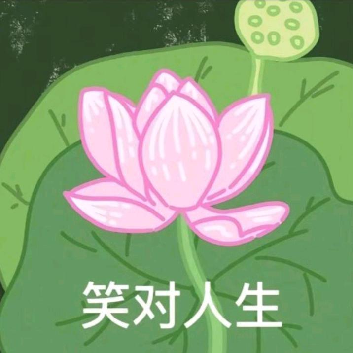困在莲花中
