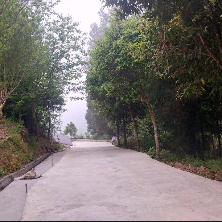 大沙四海花鼓演艺