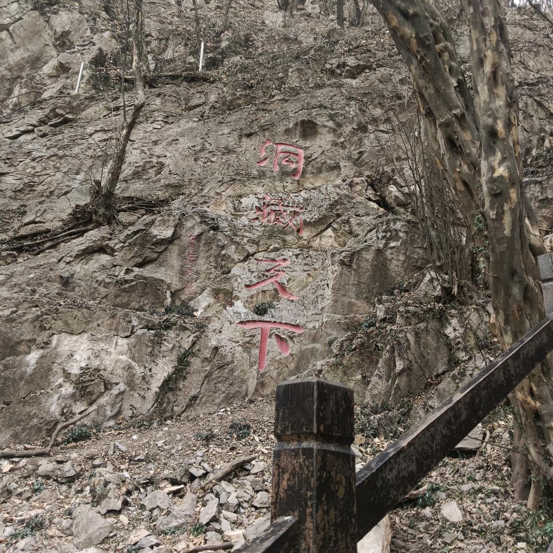 ヽ(✿ﾟ▽ﾟ)ノ