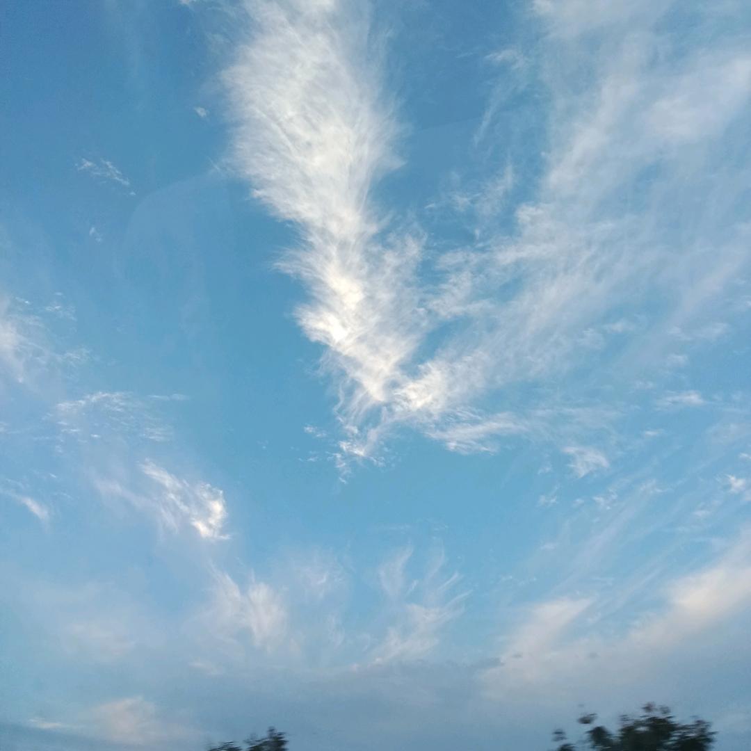 珂郦菲特