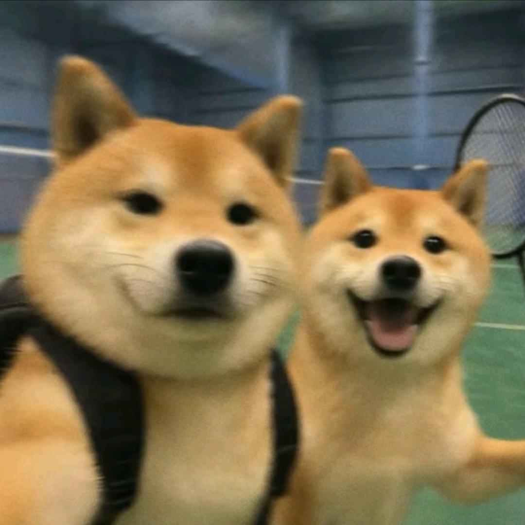 随缘