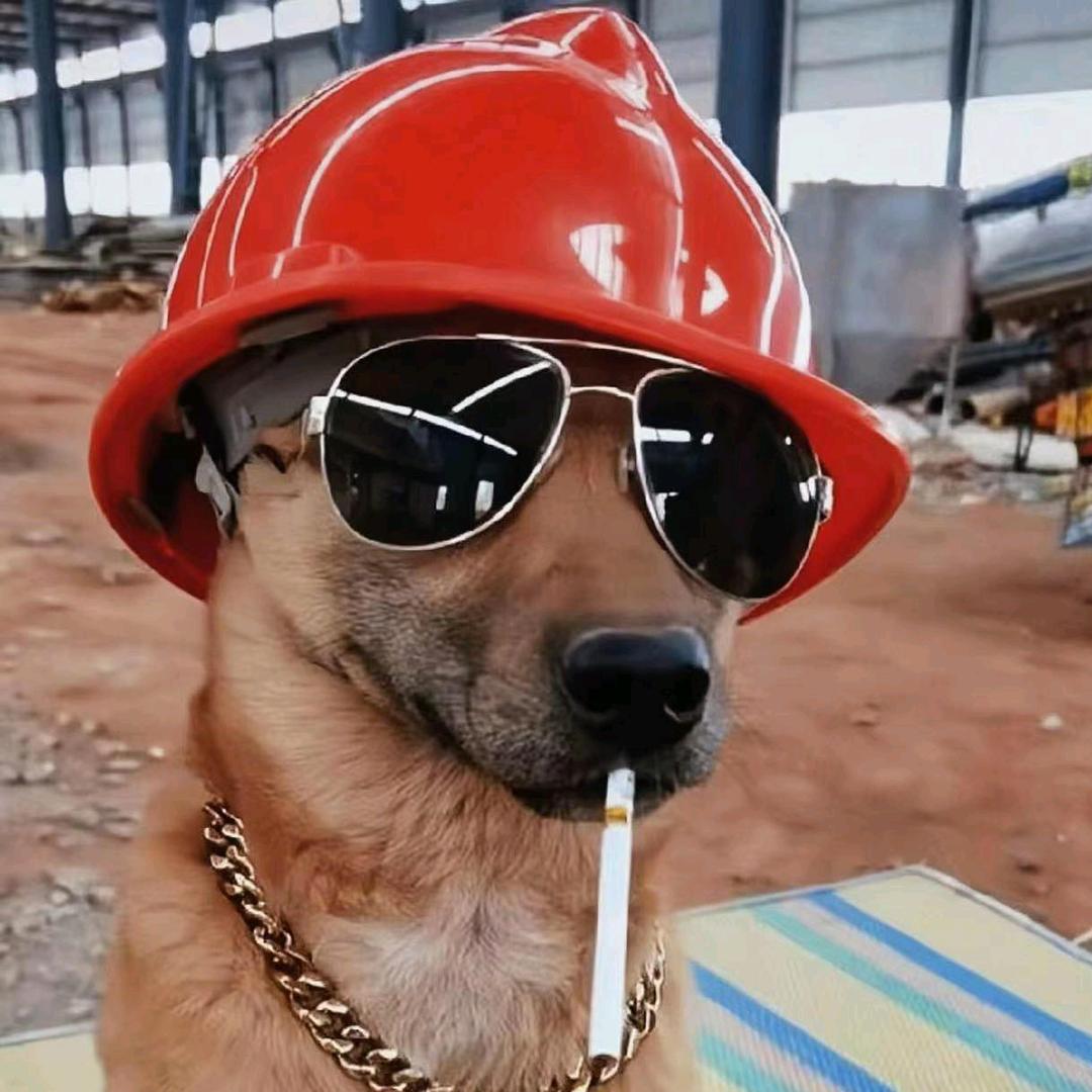 以梦为马灬不负韶华