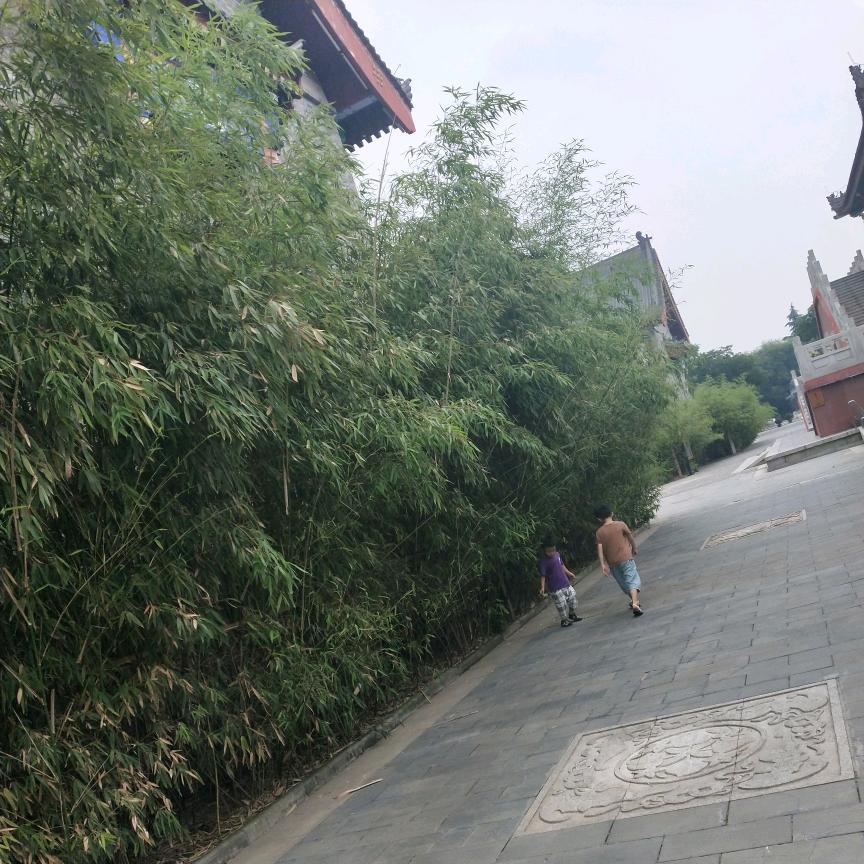 往事如烟