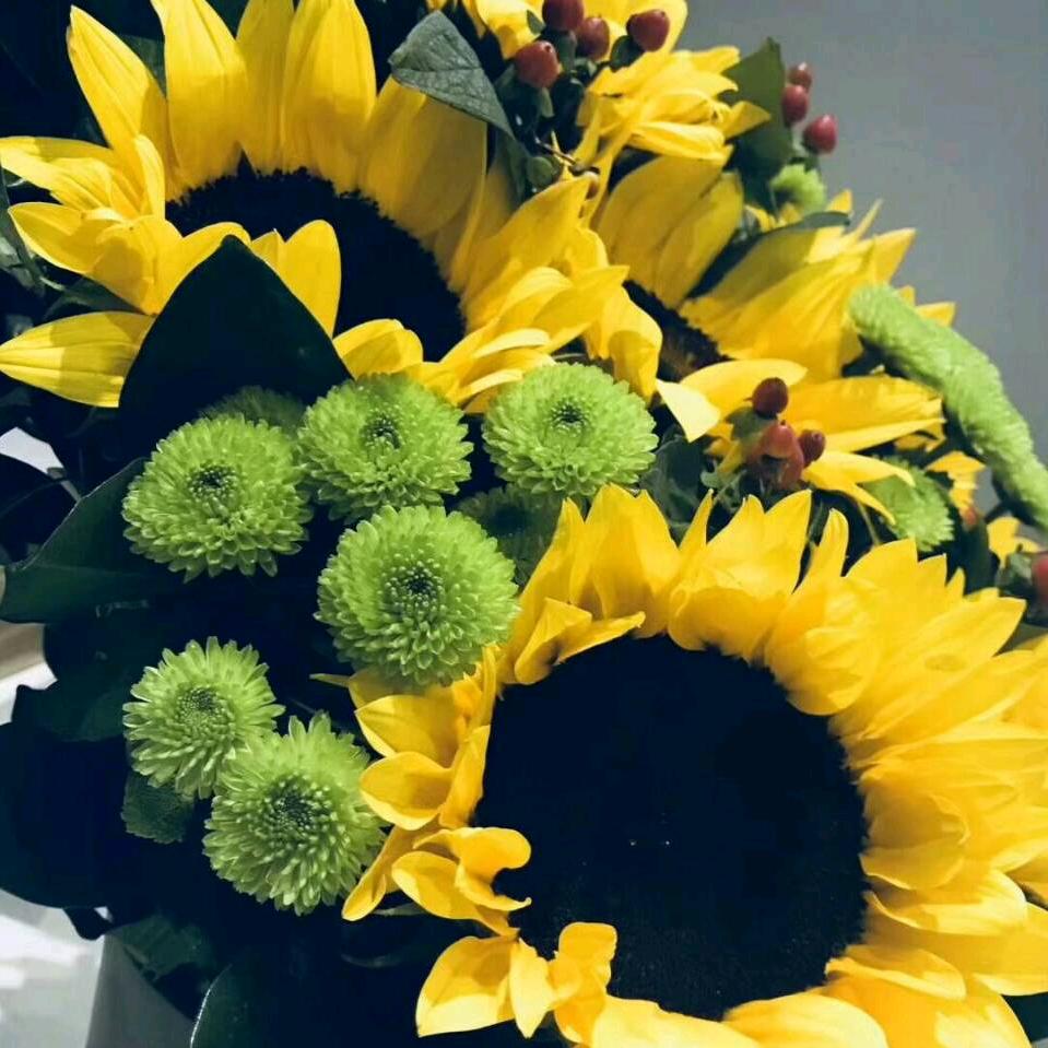 🇨🇳前程似锦