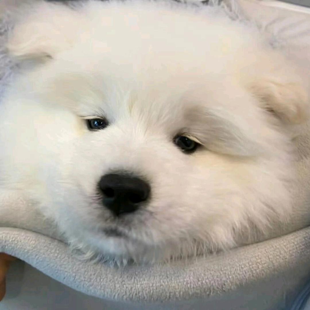 别管我发疯