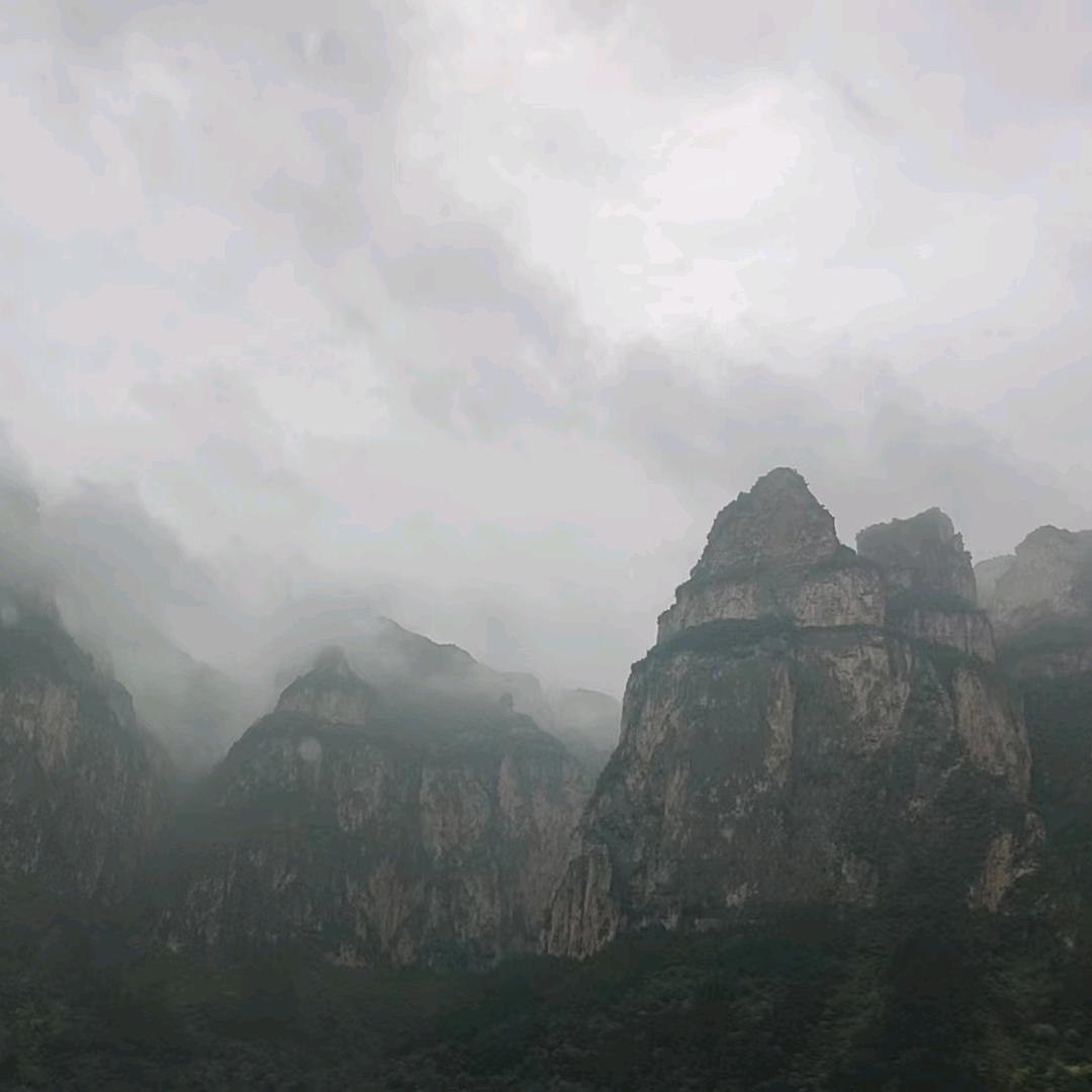 🍒半斤八两.🍒