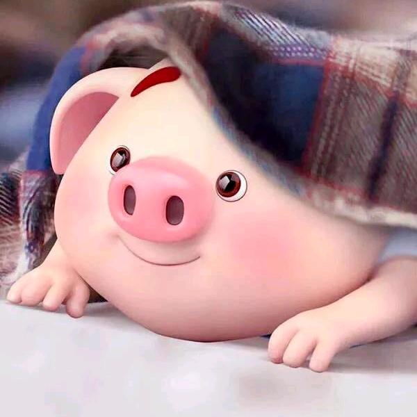 ཻꦼꦁ臭小老头ོ࿐้