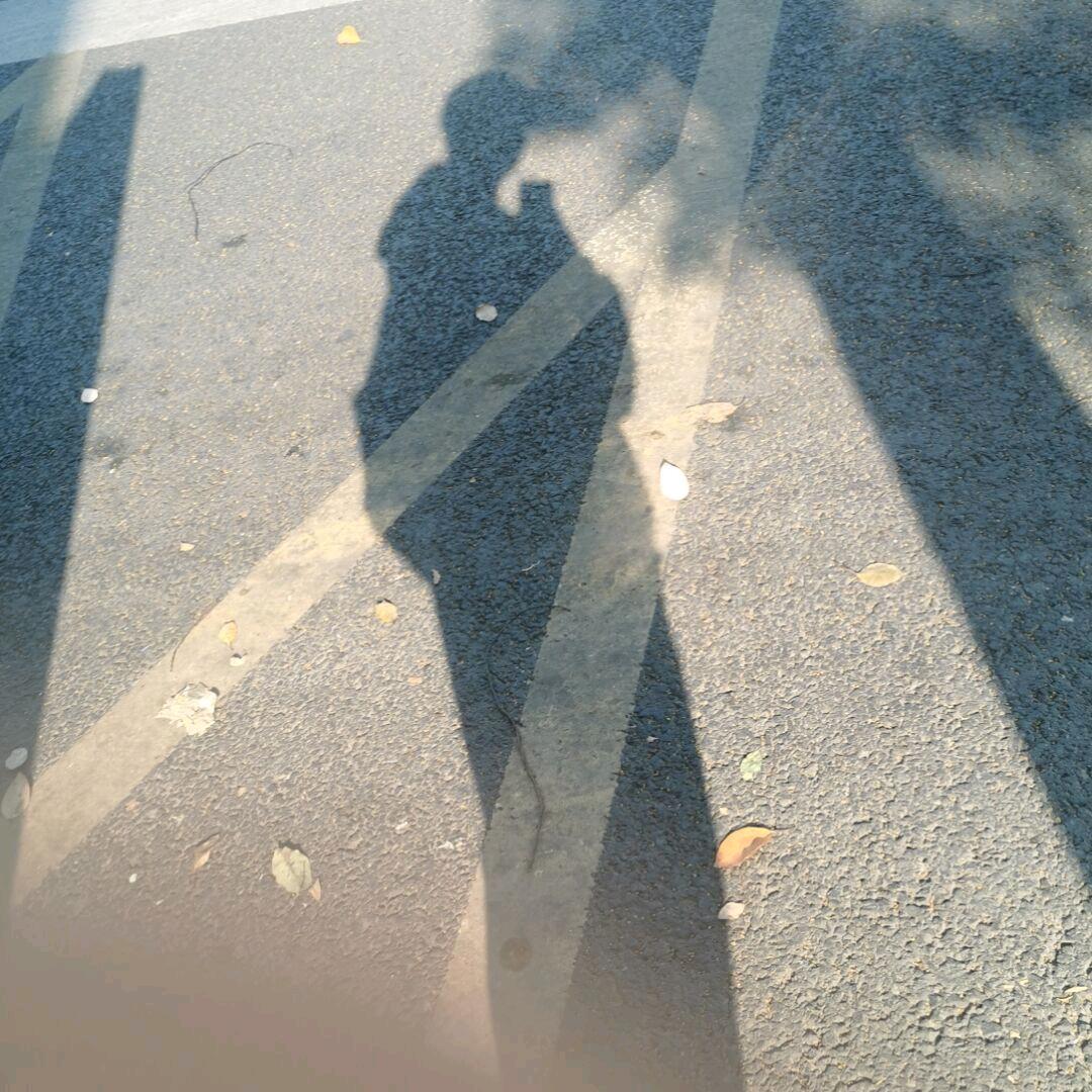 桔梗