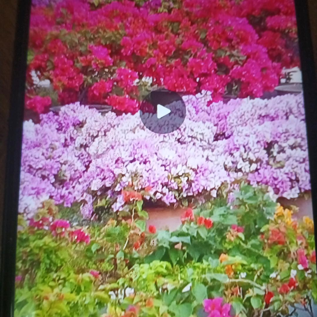 看穿不说穿