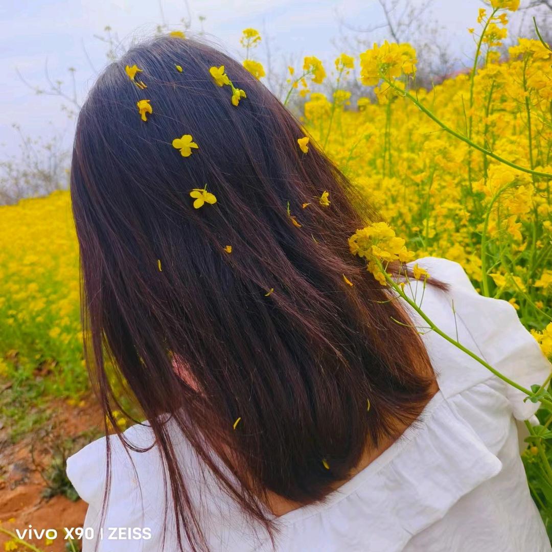 💞ঞ᭄云儿ꦿഒᩚ࿐