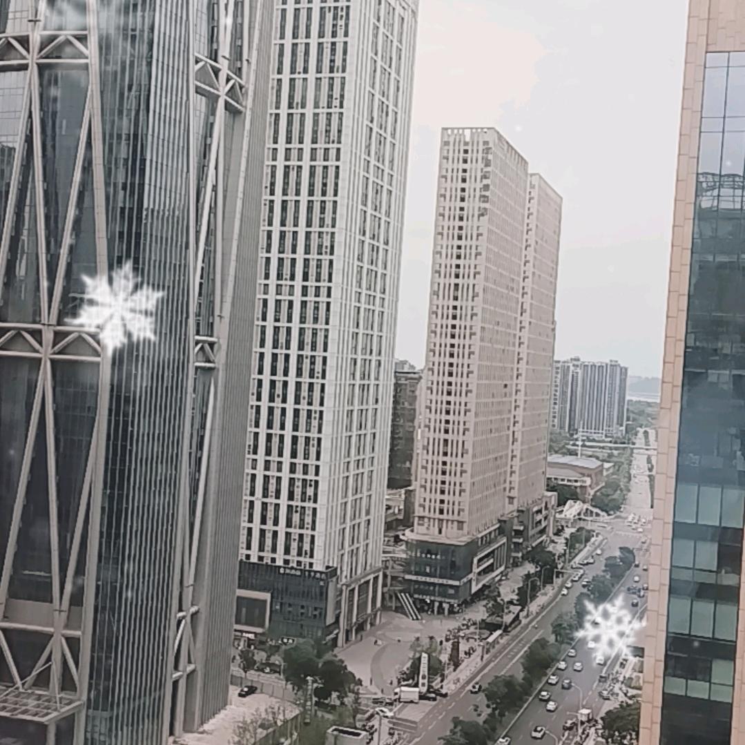 财达-擒龙豪哥