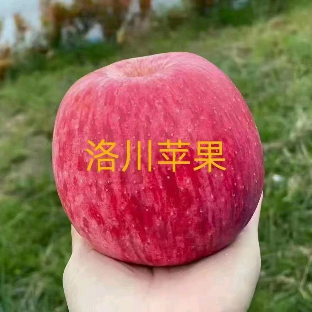 富万家果业