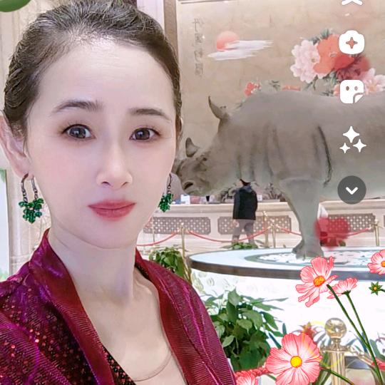 杨家小妹中药专利艾灸