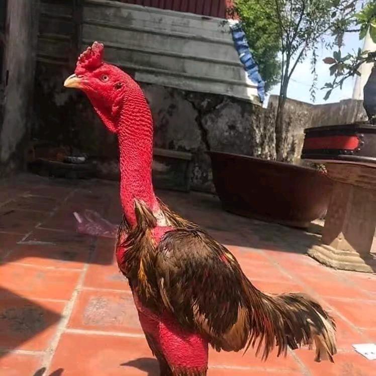 职业生涯  小王