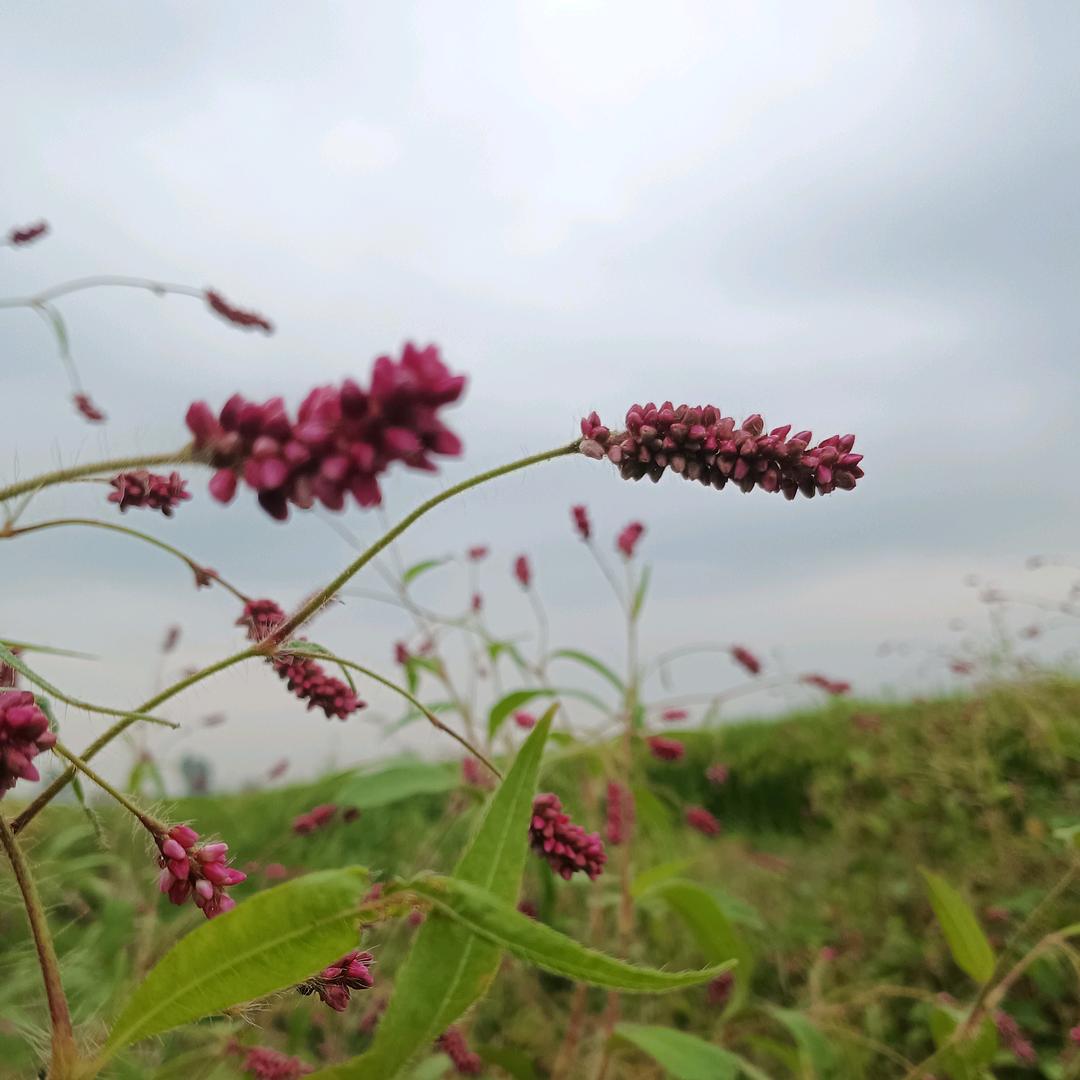酒不醉人人自醉-