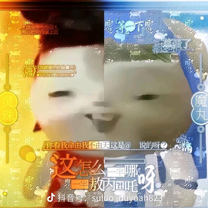 趣多多点巧克力豆专家
