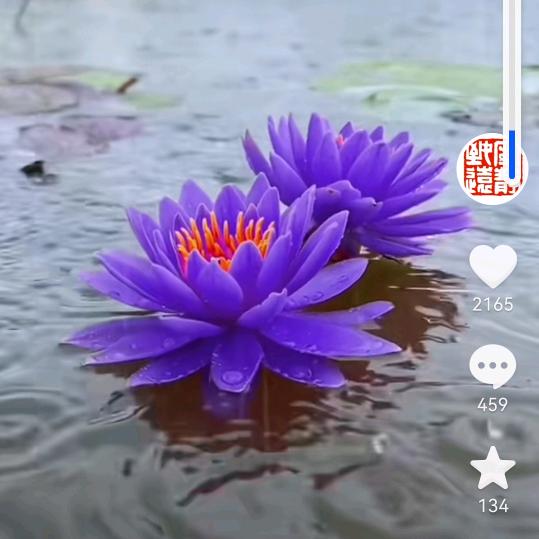 怎么开心怎么过？