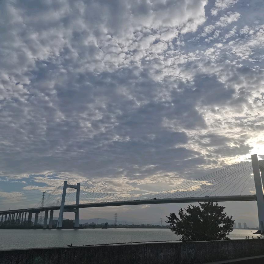 豪麦巨男装加长裤