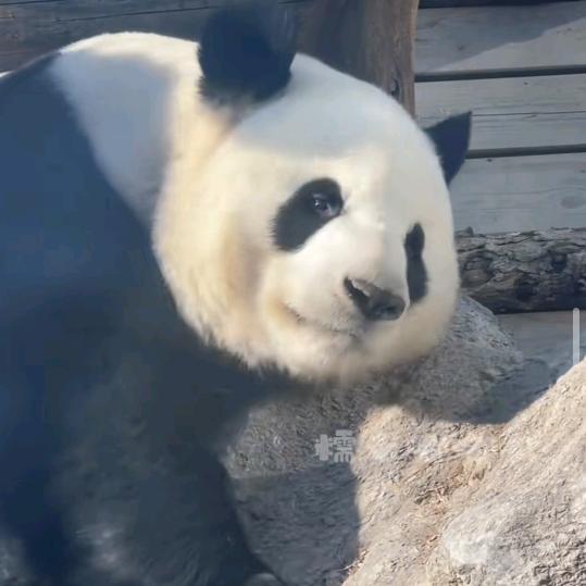堀盒