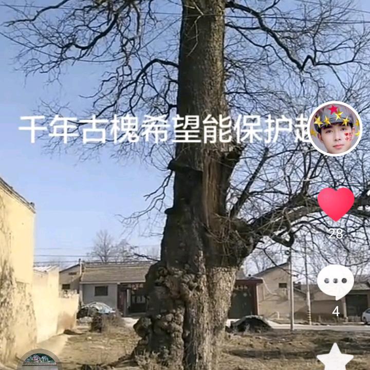 清松g