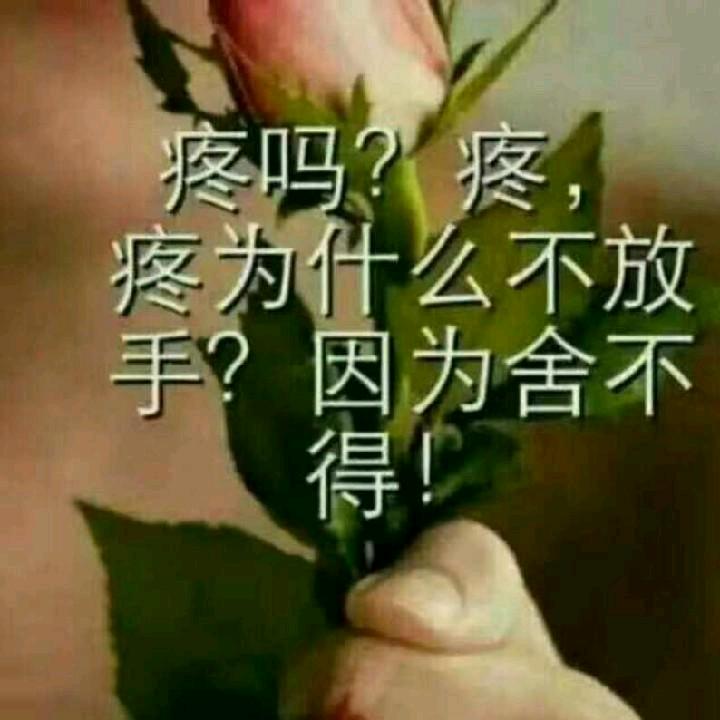 虎哥74🐯单身