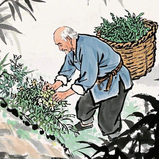 福元艾养生