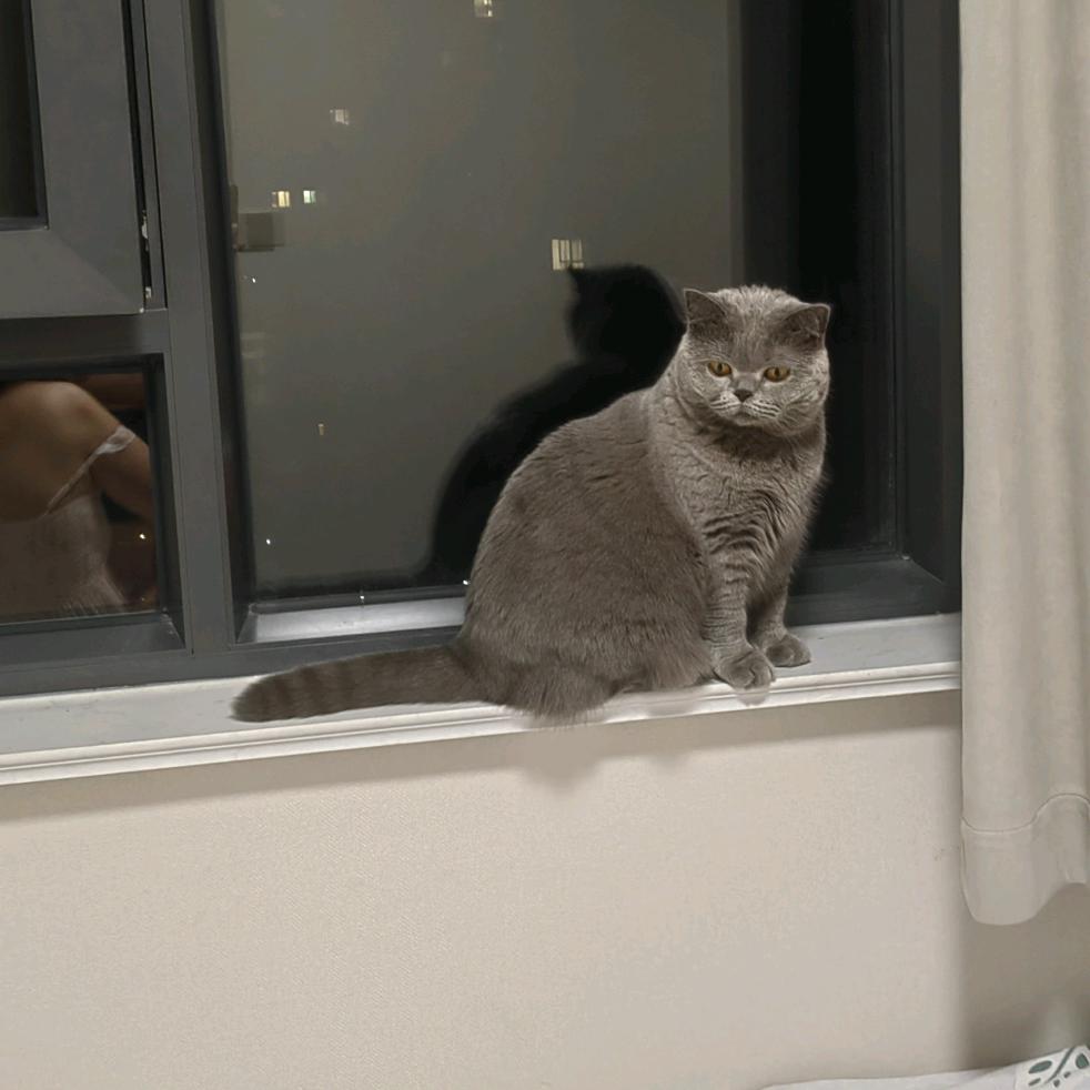 情怀（二手车）免费评估，诚信赢天下！