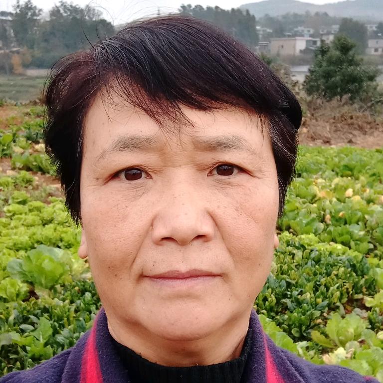 陈敏姐1