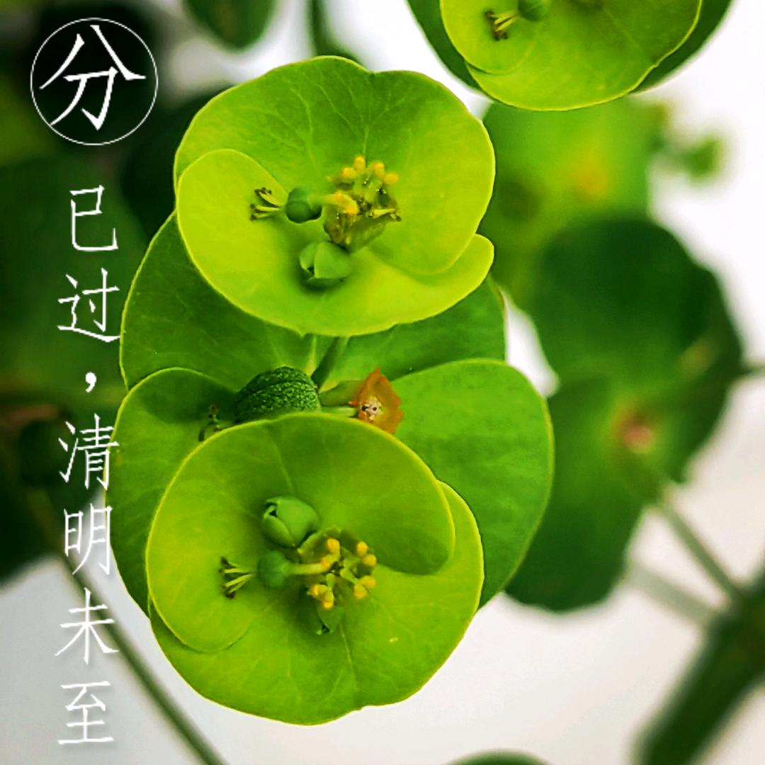 谢谢