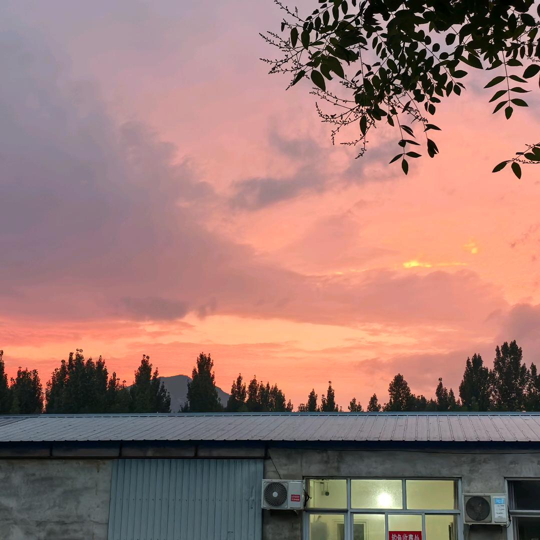南河畔钓鱼休闲基地