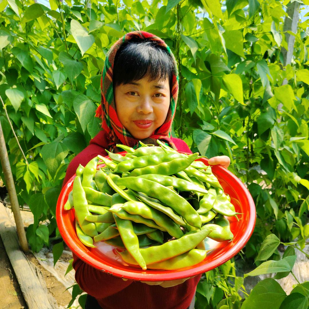 正宗李波血肠