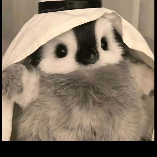 林林