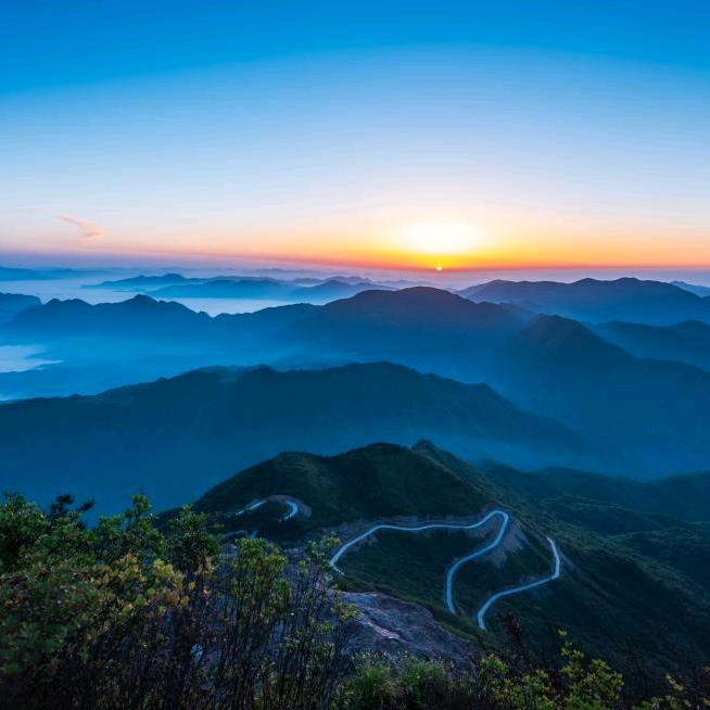 悠悠寸草心