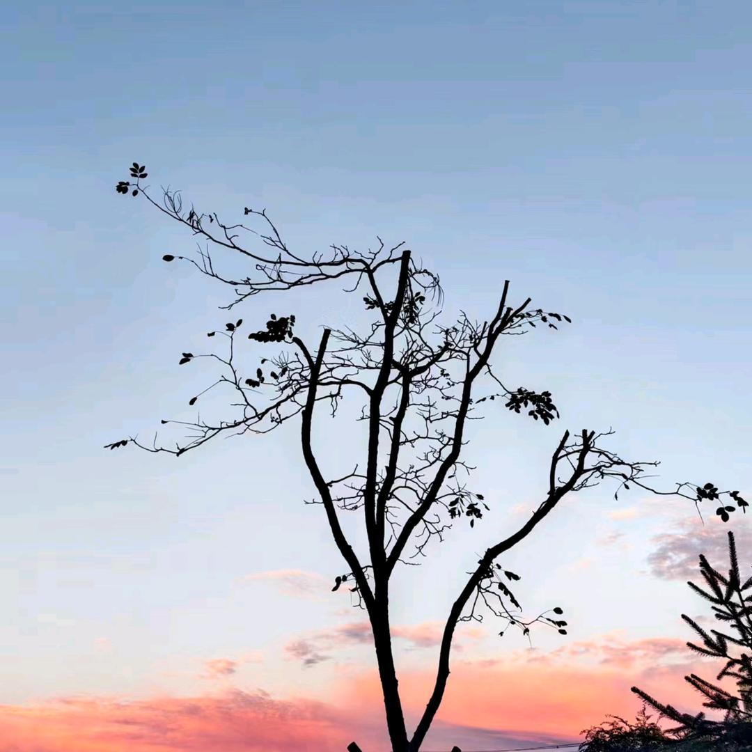 叁叁小姐姐