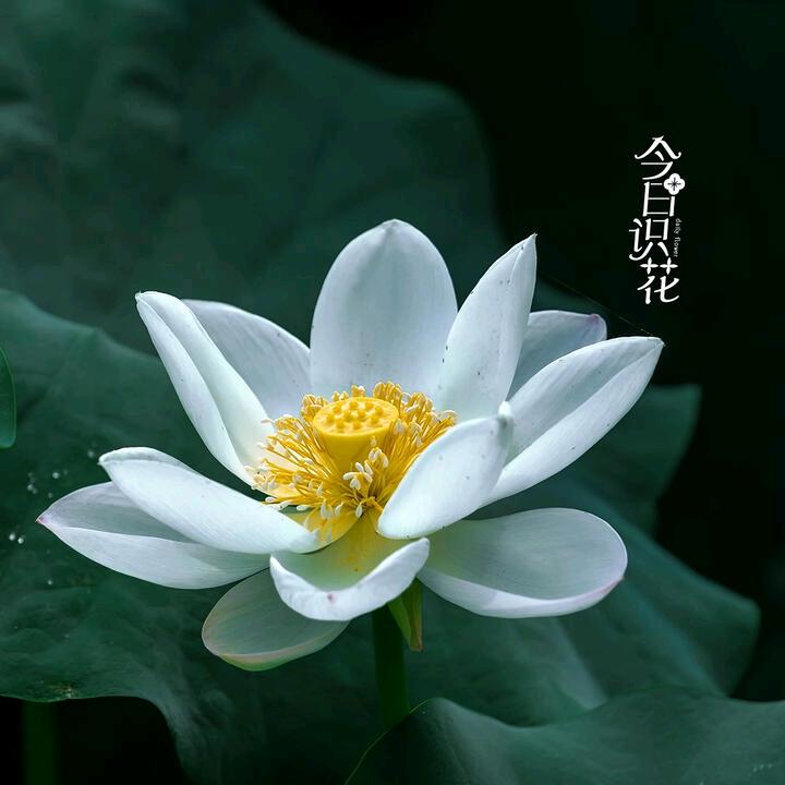 往日回忆