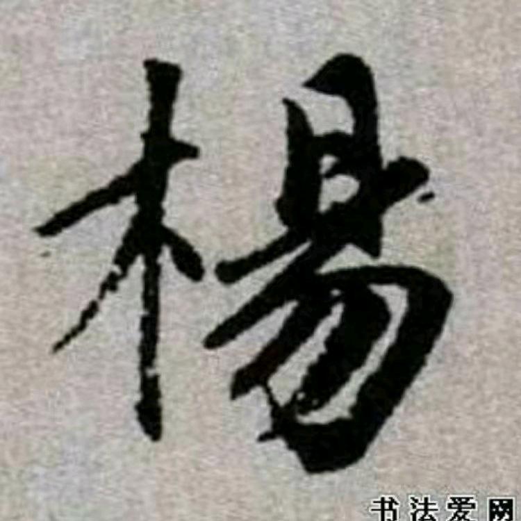 田园犬收购