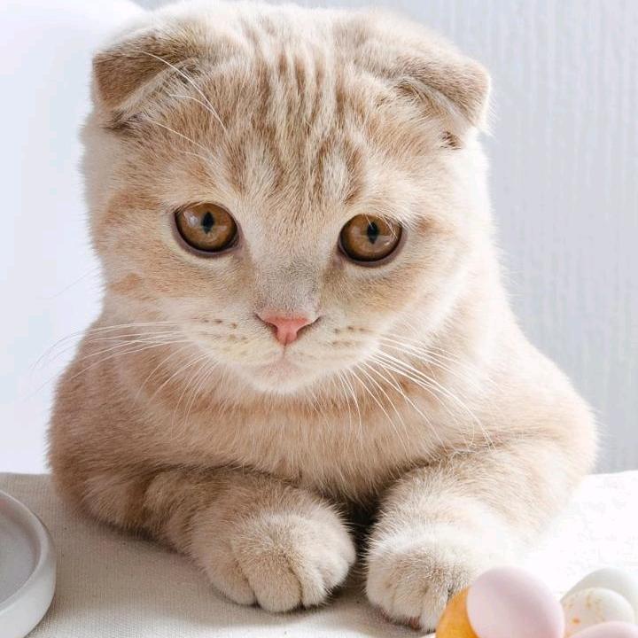 任