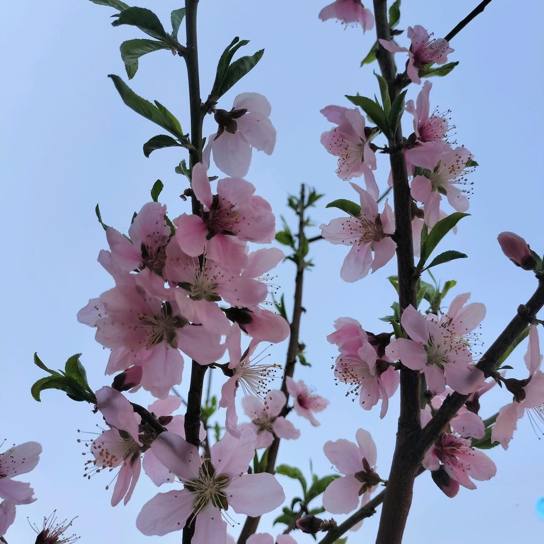 荣荣姐