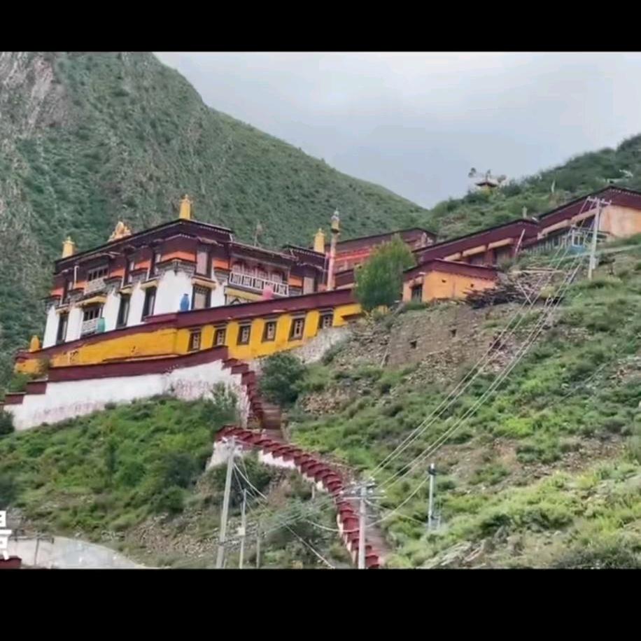 德吉